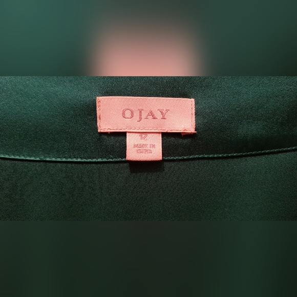 Emerald silk Ojay dress - Picture 6 of 11